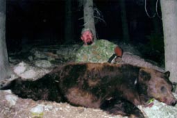 Bald Mountain Outfitter Bear
