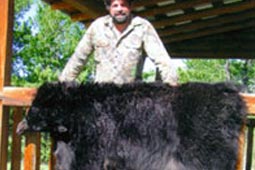 Bald Mountain Outfitter Bear