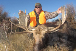 Bald Mountain Outfitter Moose