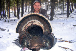 Bald Mountain Outfitter Turkey