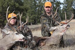 Bald Mountain Outfitter Deer