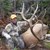 Larry Nottingham (Mt. Jackson, Va.) 6x6