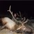 Kyle Dunning, Layton, Ut.
