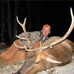 Elk