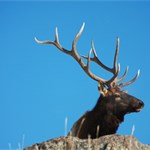 Photo January 11 2012