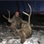 Rick Williams, Pembroke, VA.