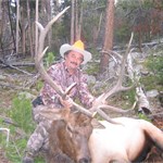 Elk
