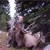 Jen Brooks, Juda, Wi.
