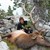 Elk