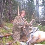 Elk