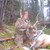 Elk