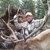 Larry Nottingham (Mt. Jackson, Va)