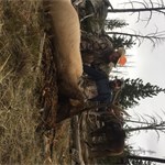 Tom Carpenter, New Pine Creek, Or.