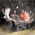 Jim Hattan 2009 Moose