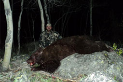 Bald Mountain Outfitter Bear