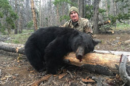 Bald Mountain Outfitter Bear Hunts