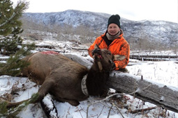 Bald Mountain Outfitter Cow Elk