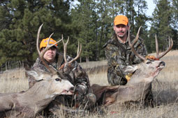 Bald Mountain Outfitter Mule Deer